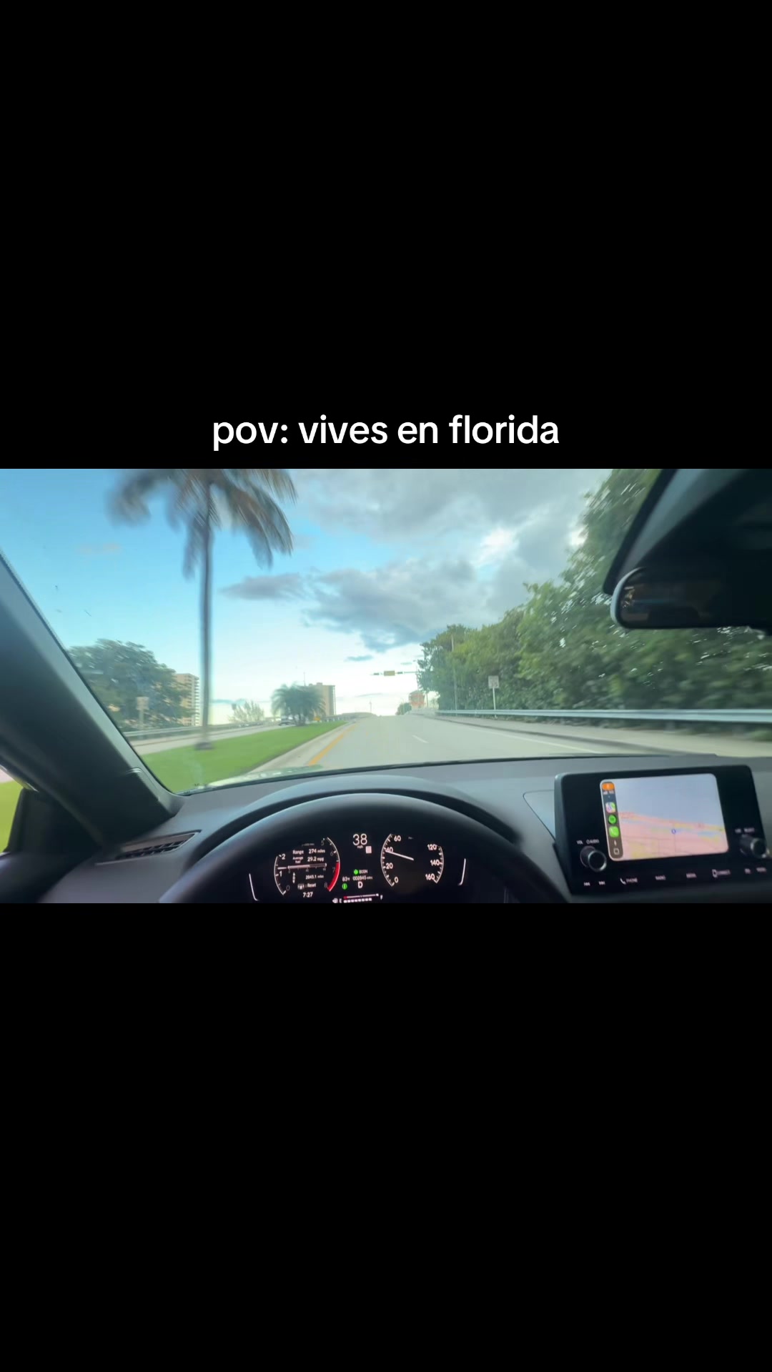 @mendiolaenusa