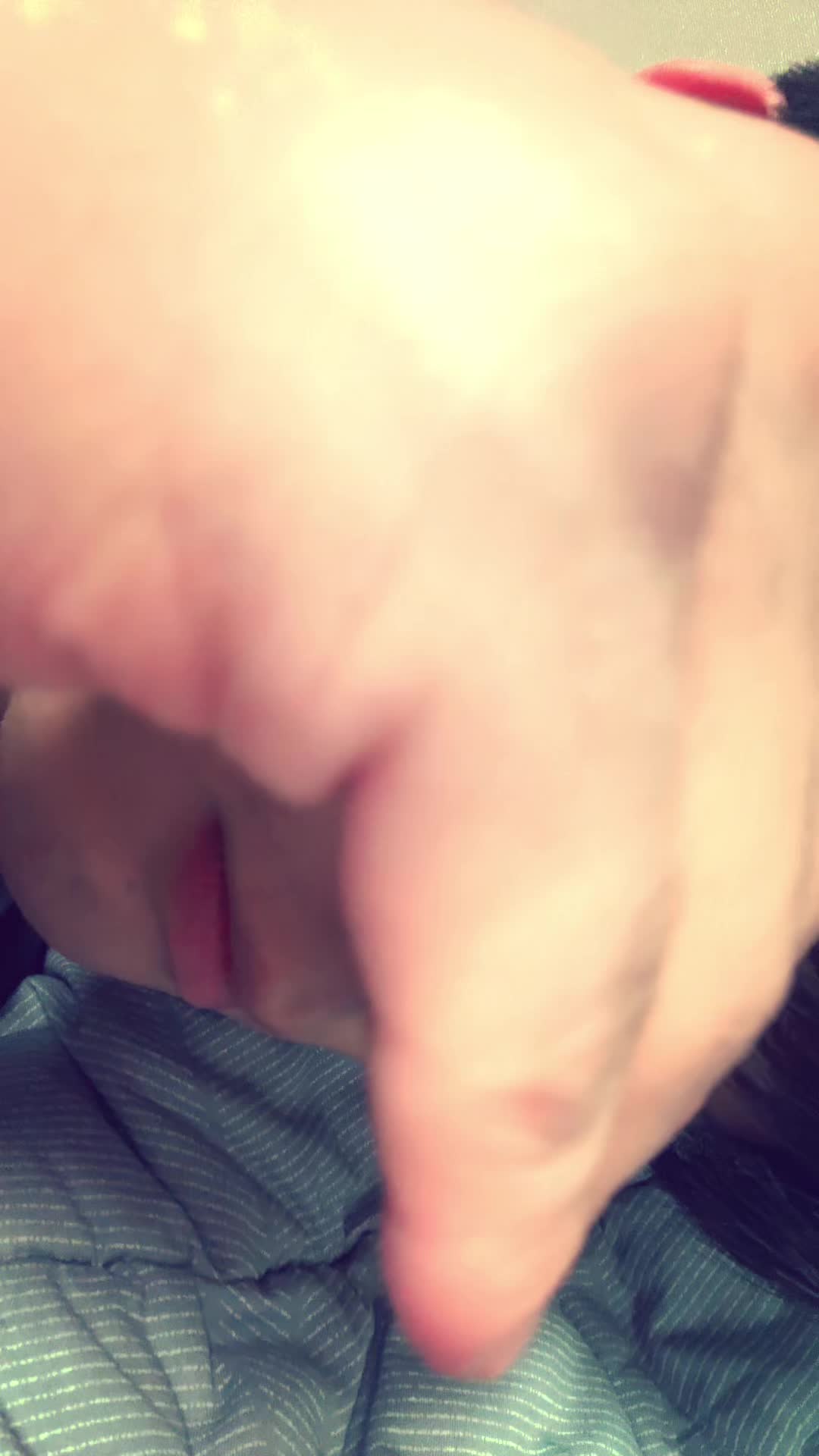 @고양이여덟마리키우는사람