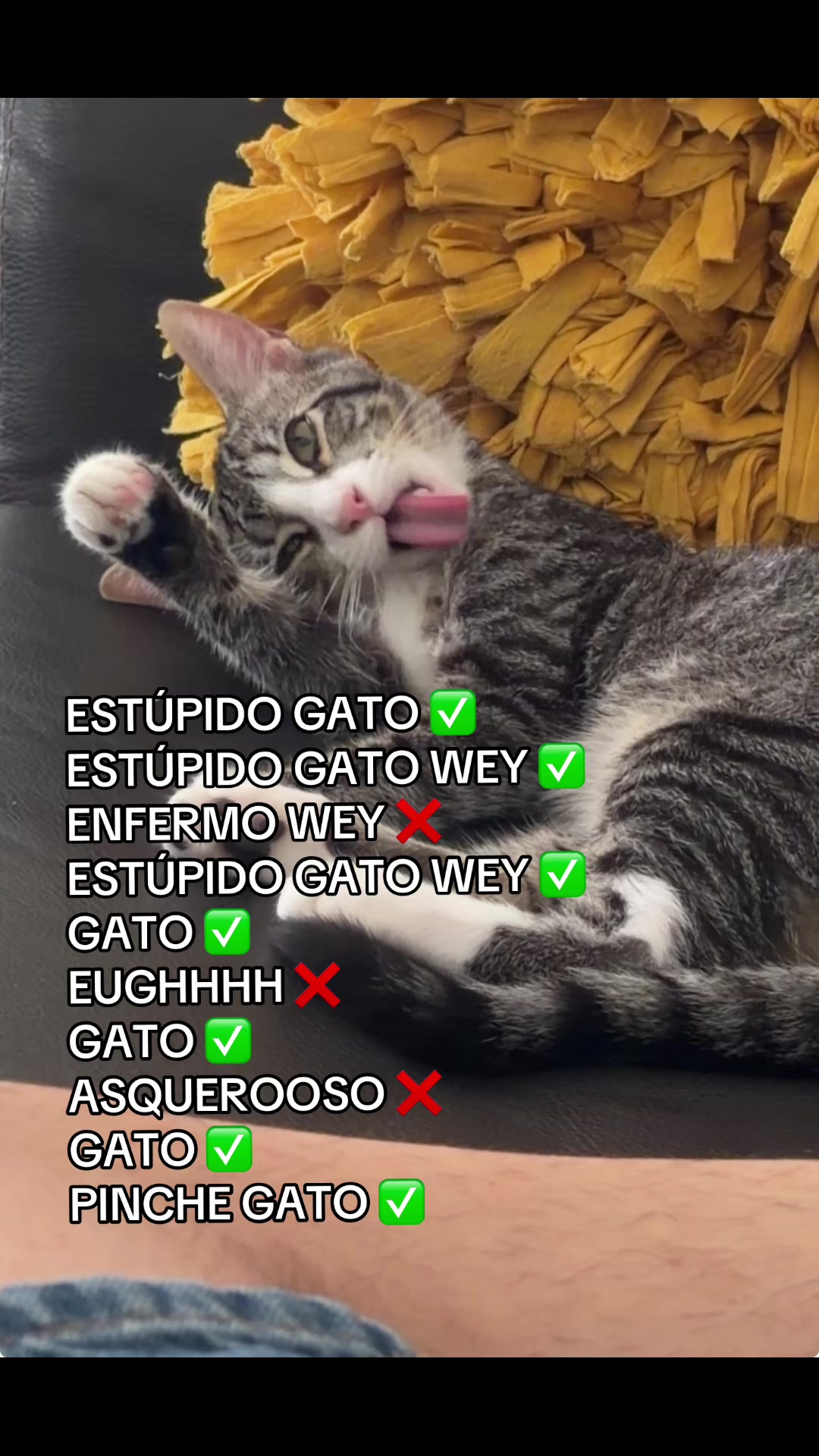 @Alfonson’t