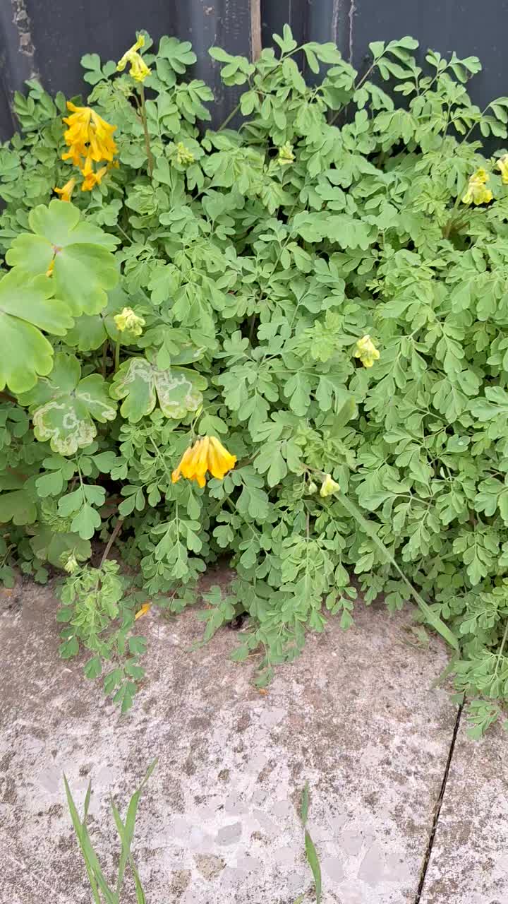 @Natur und Garten