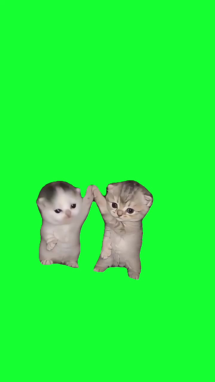 @TikTok Template