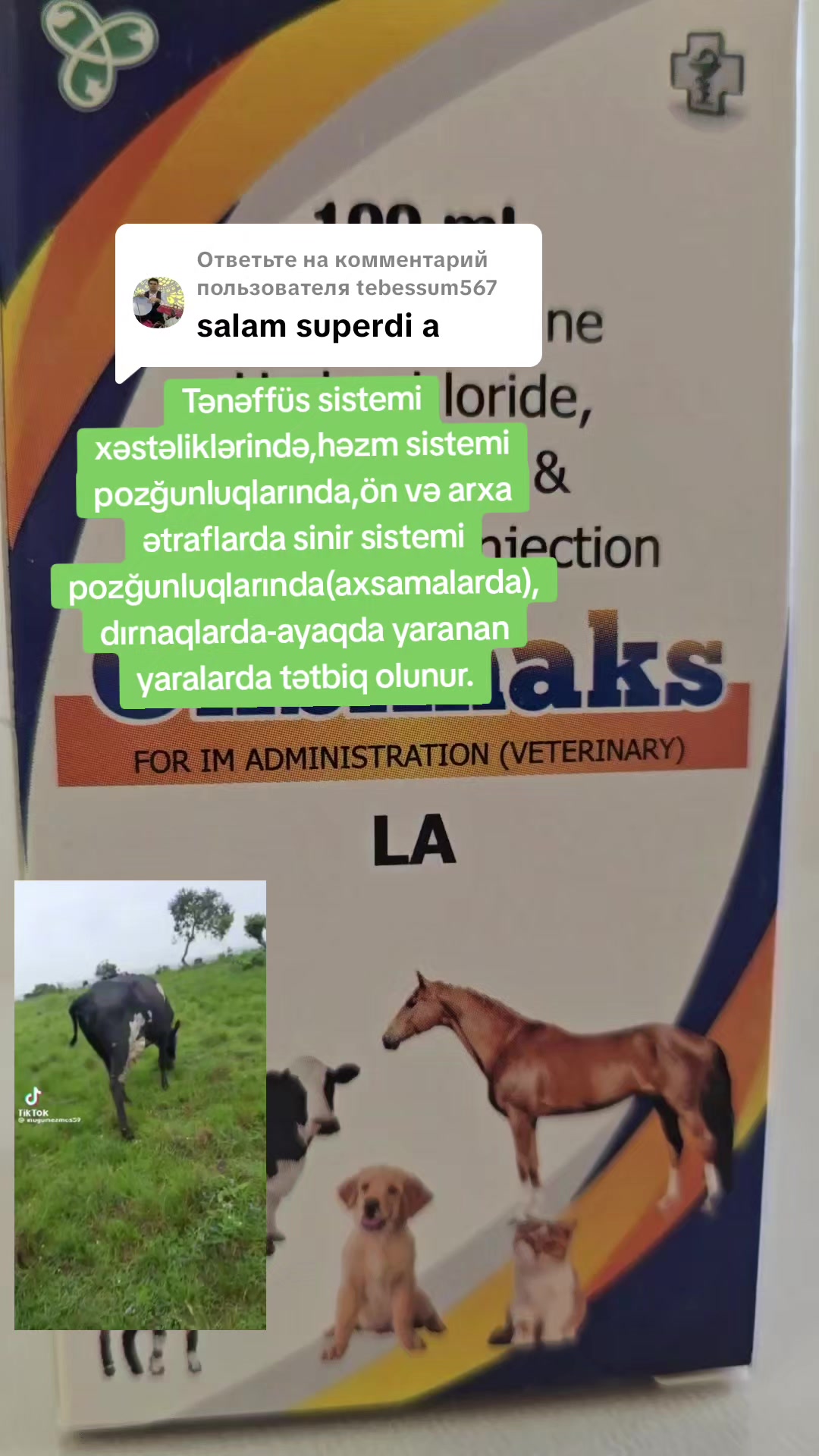 @Azunivet MMC