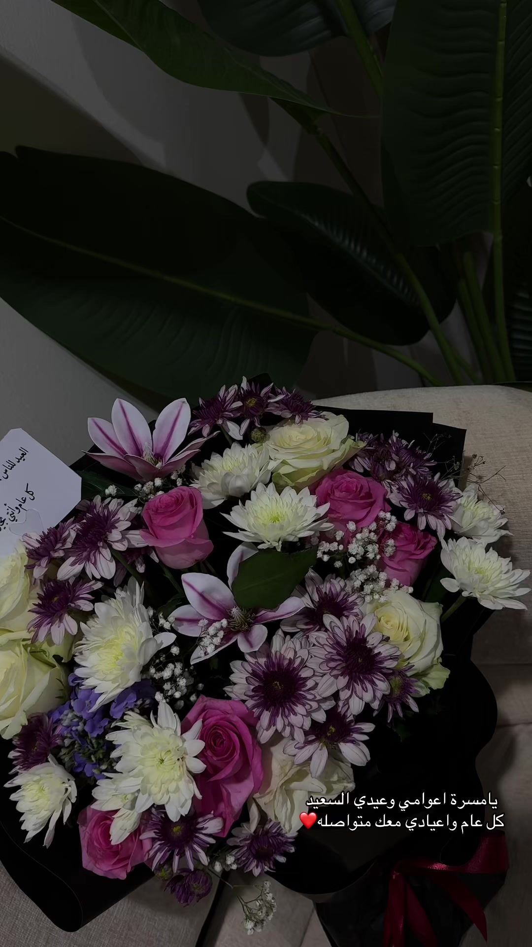 @ارتست نوره الشمري💄