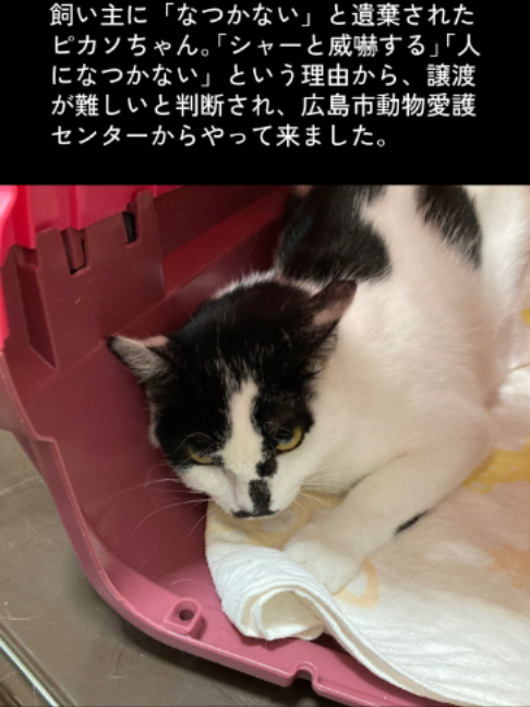 @NPO法人エターナル・ホーム
