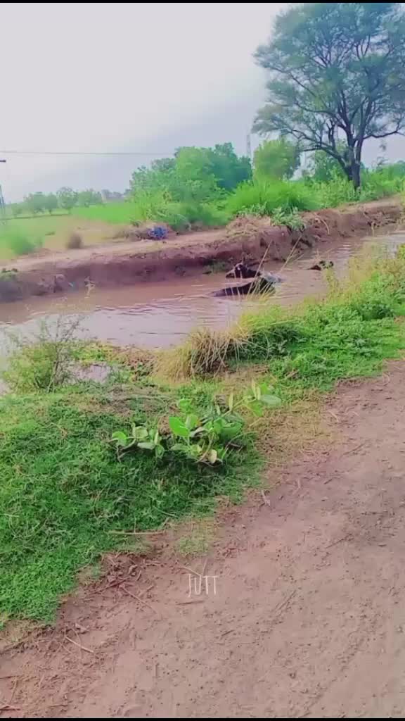 @pervaiz jutt