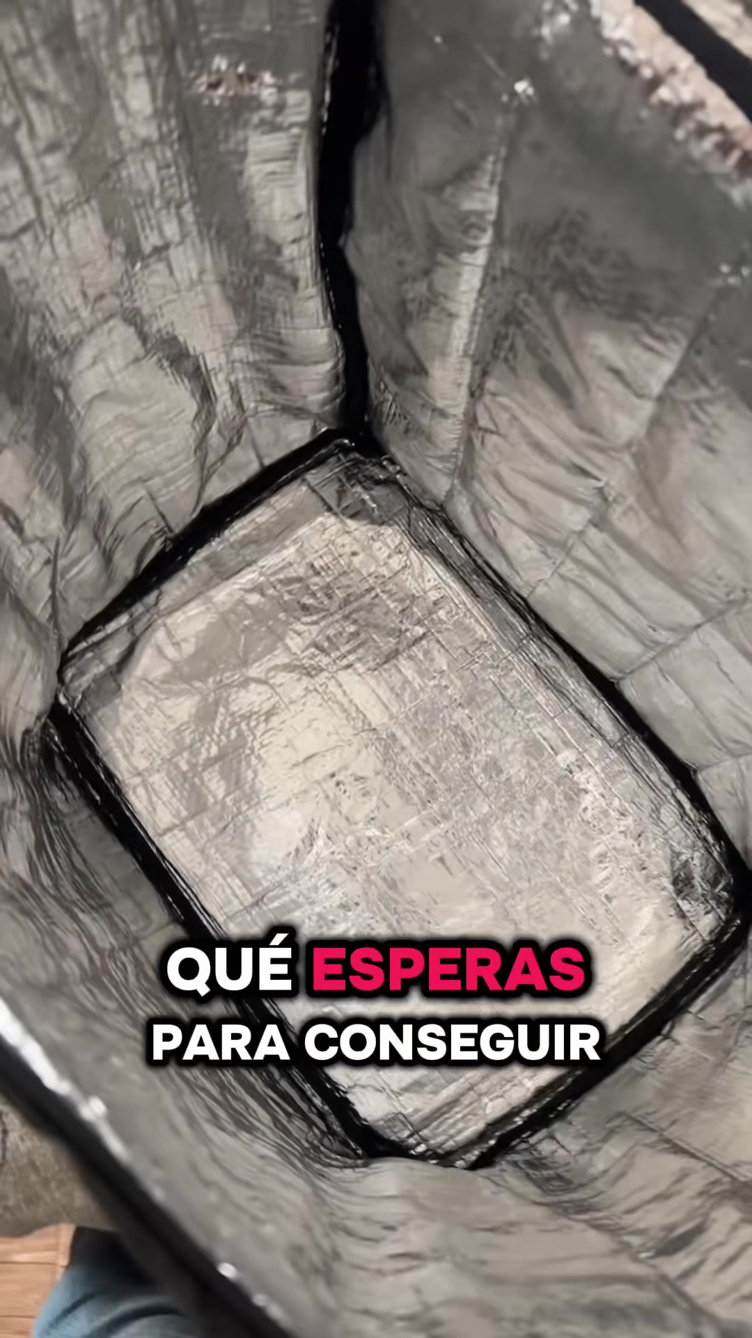 @El Beboz