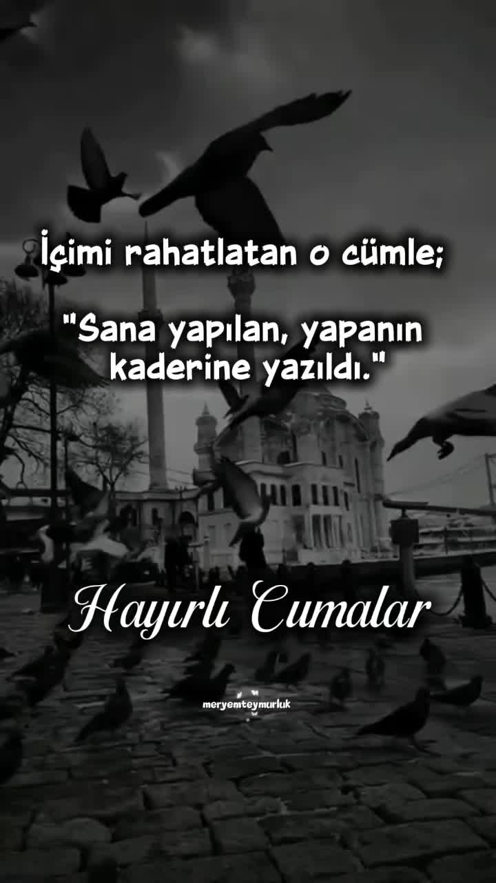 @Meryemteymurluk7