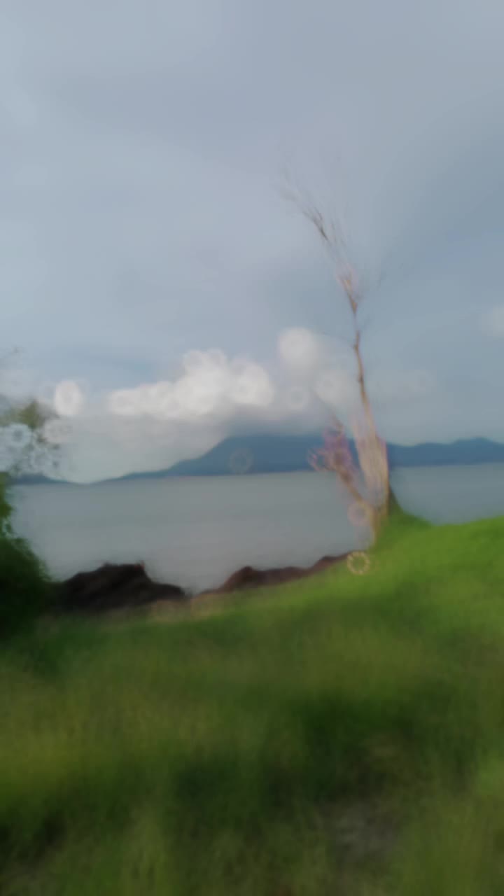 @manggis02