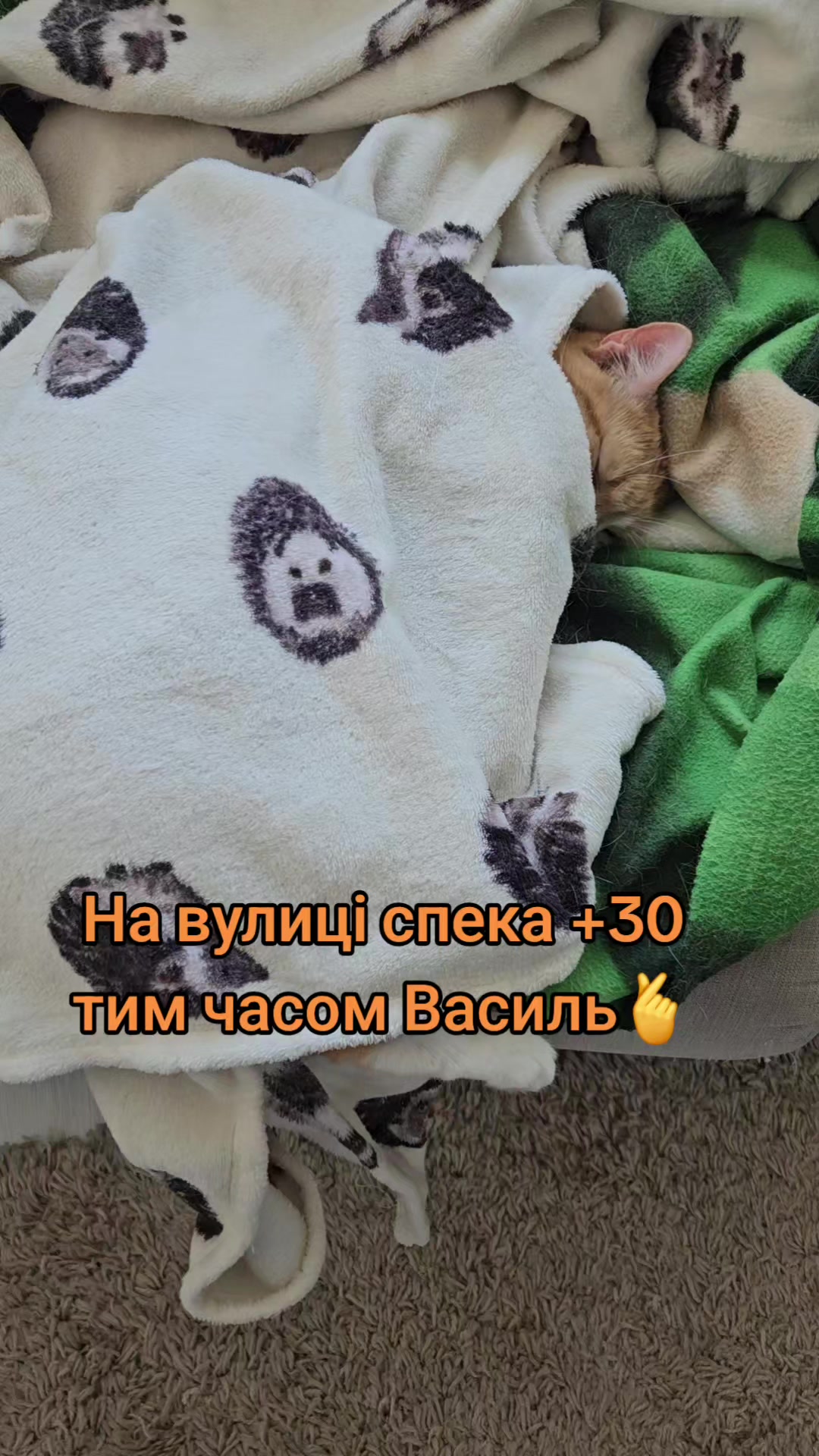 @Vasyl~Havniuk
