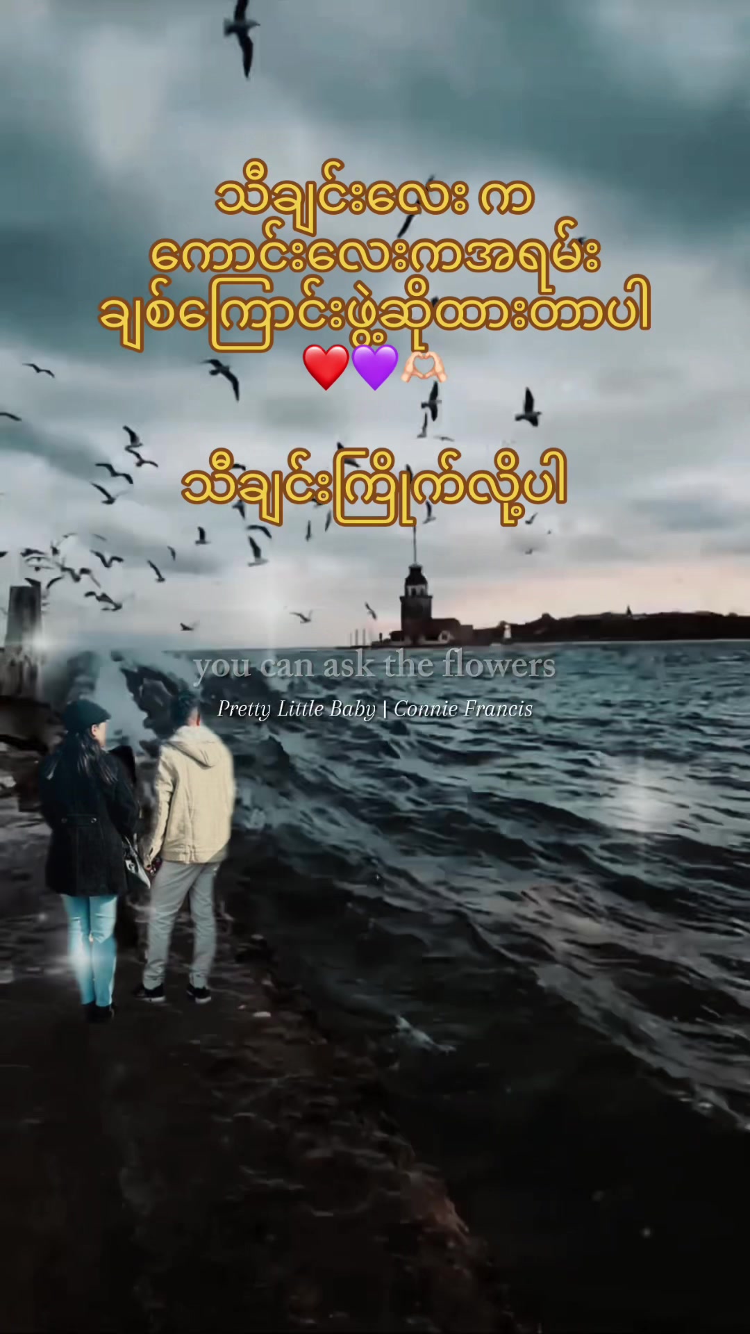 @𝑳𝒊𝒏 𝑾𝒂𝒊 𝑷𝒉𝒚𝒂𝒓-MDY