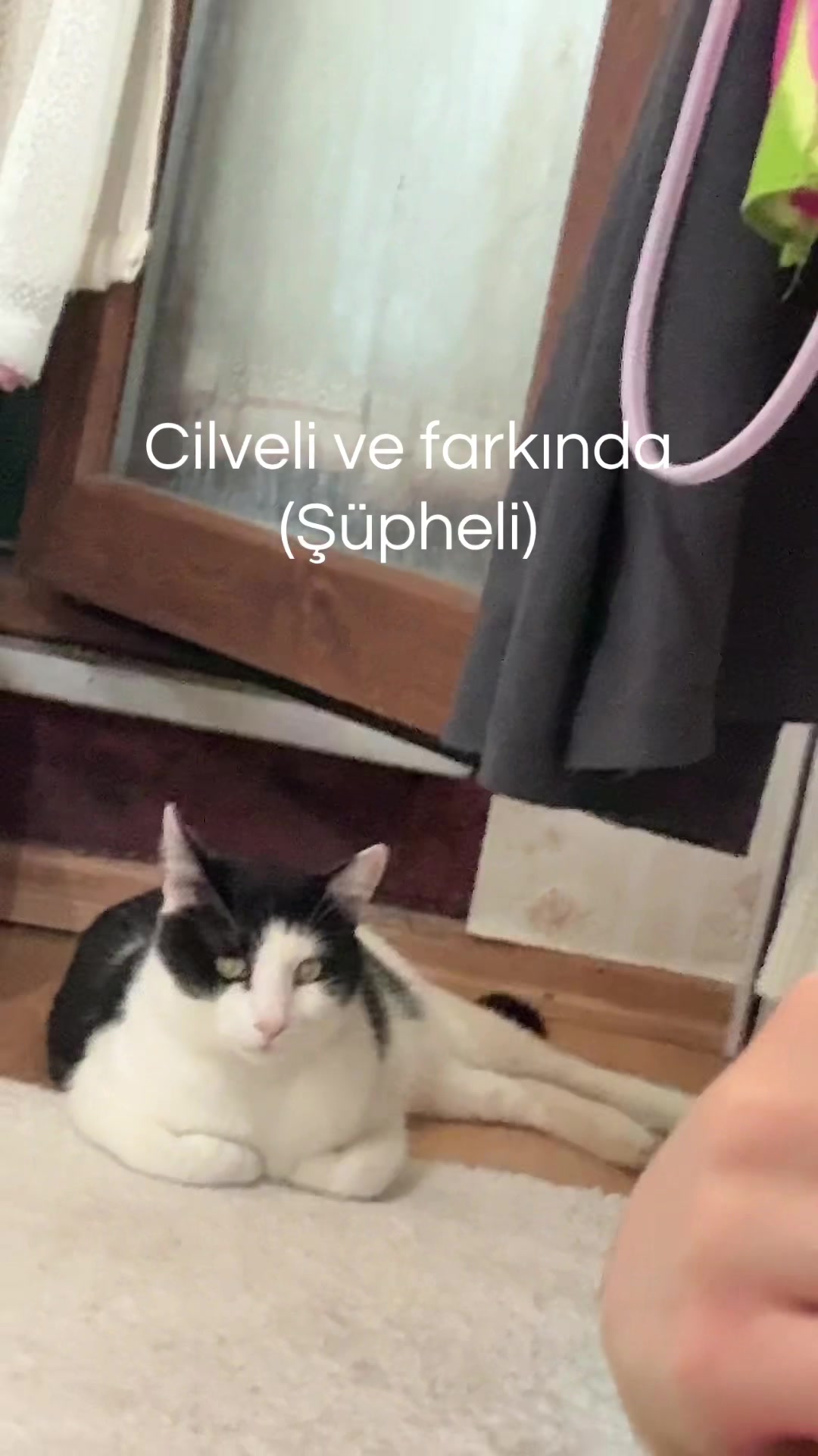 @Rabia Aktaş