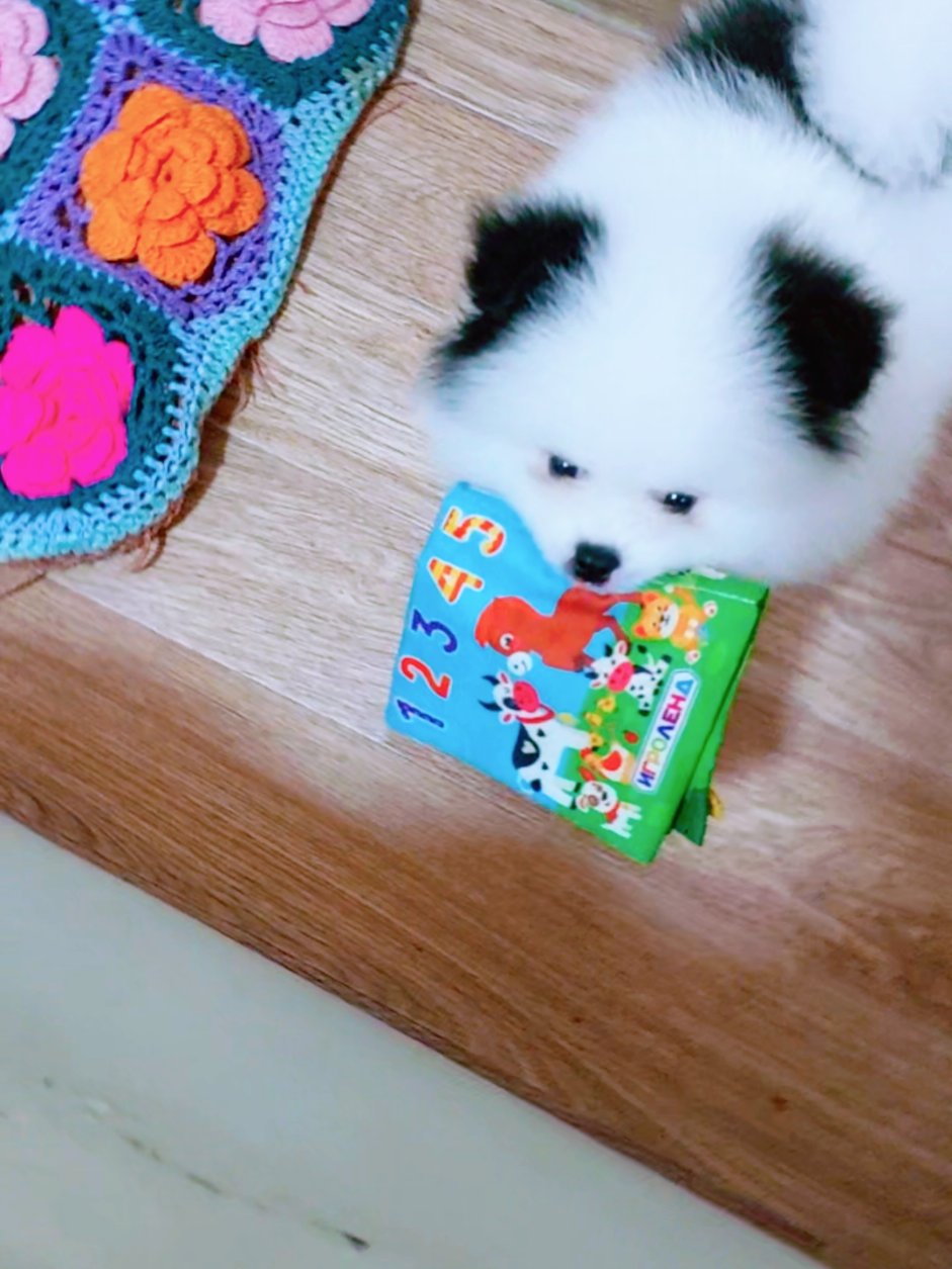 @Девушка из сказки🤗