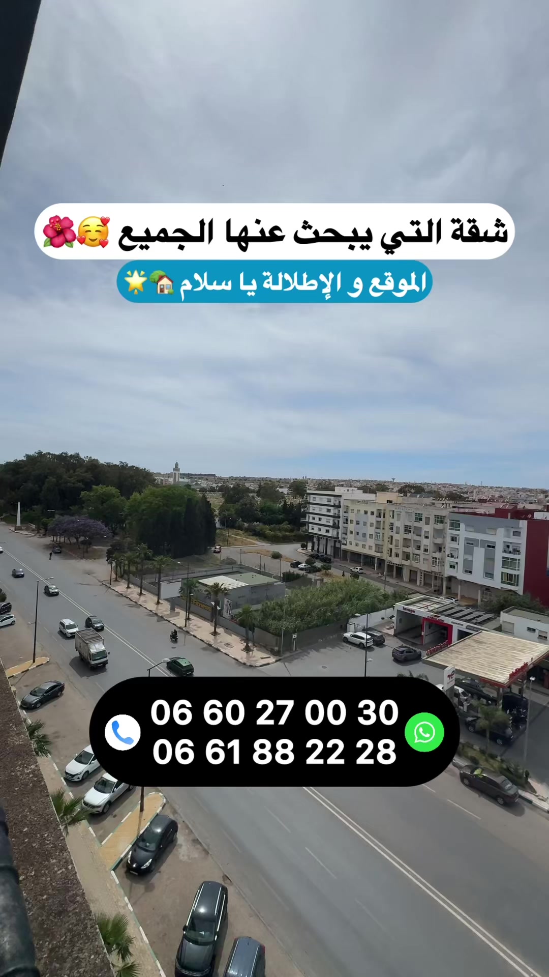 @Zakaria Haddad 🇲🇦🇵🇸