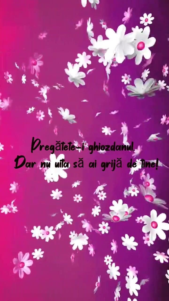 @๐๐๐๐ ๐๐๐๐๐๐๐๐
