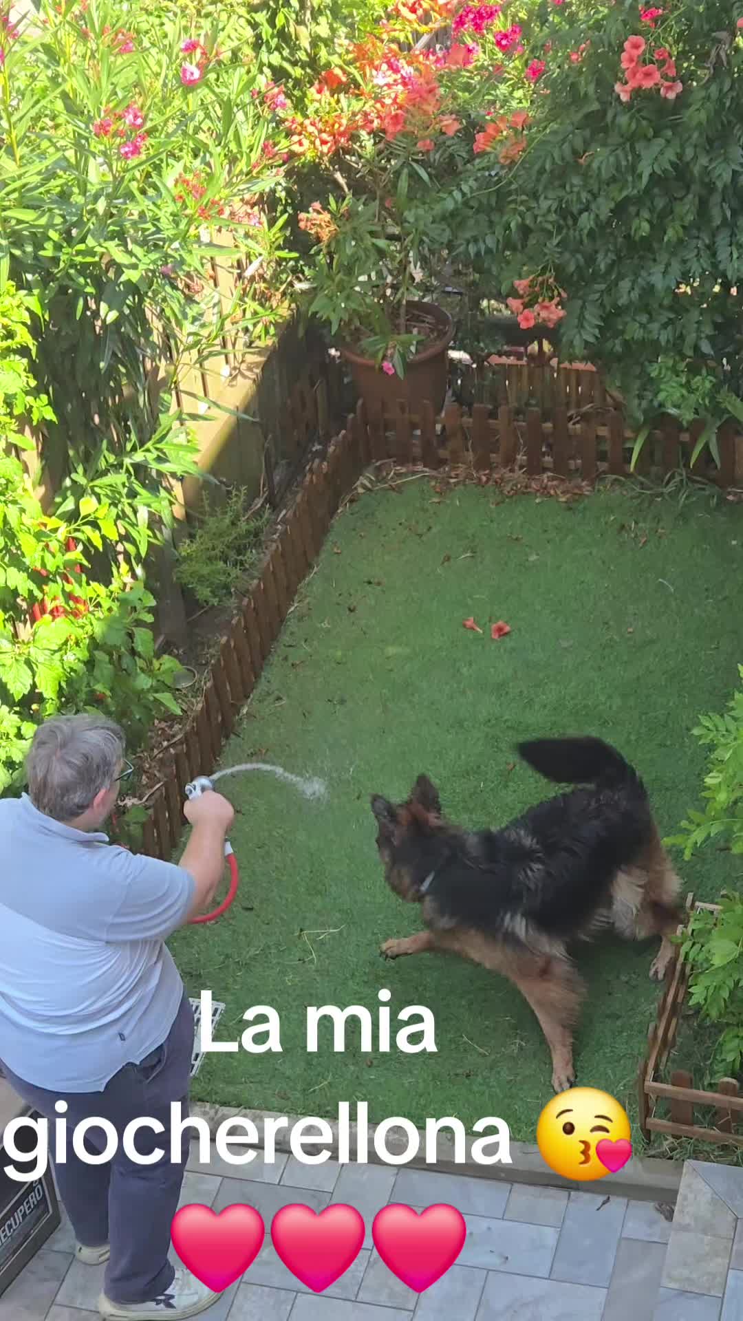 @Elena Paganelli