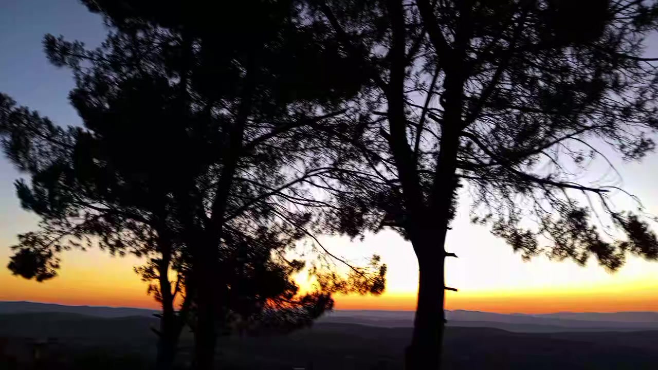 @ا⃪⃪ب⃪⃪و⃪ ⃪⃪ت⃪⃪ي⃪⃪مℋ𔘓̵