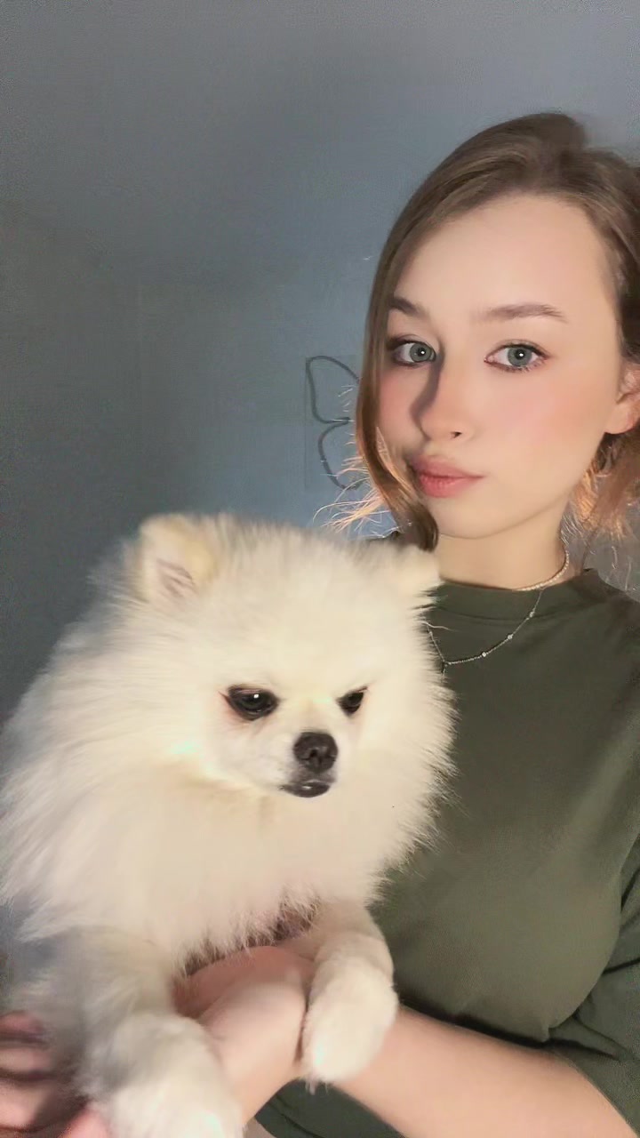 @тгк: Котик в тележке