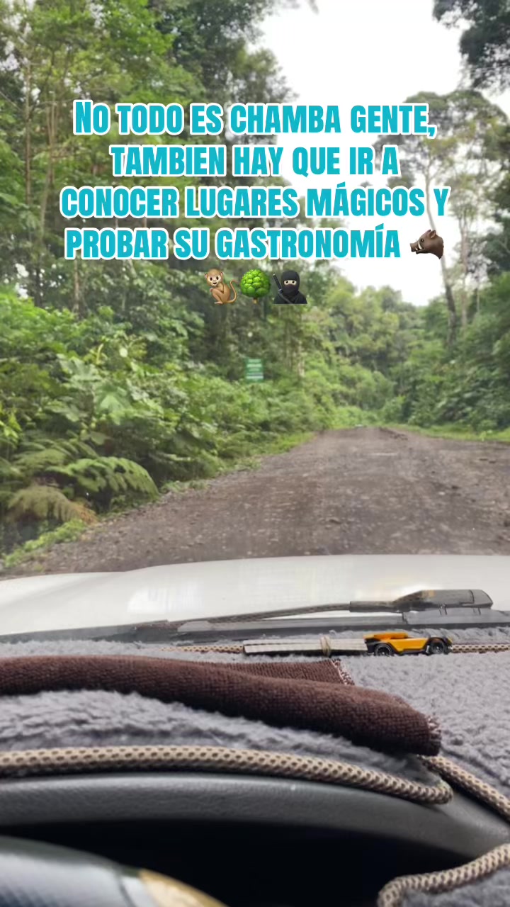 @Lopez Alexander🇪🇨🇪🇨✈️🚲🦂