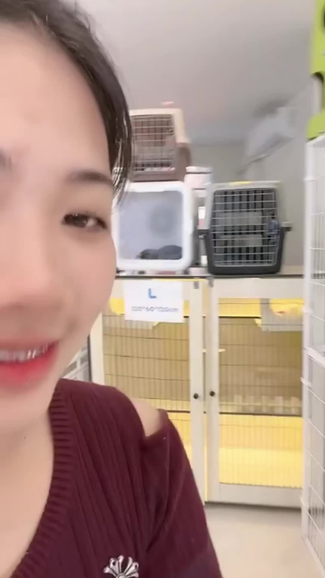 @petsland