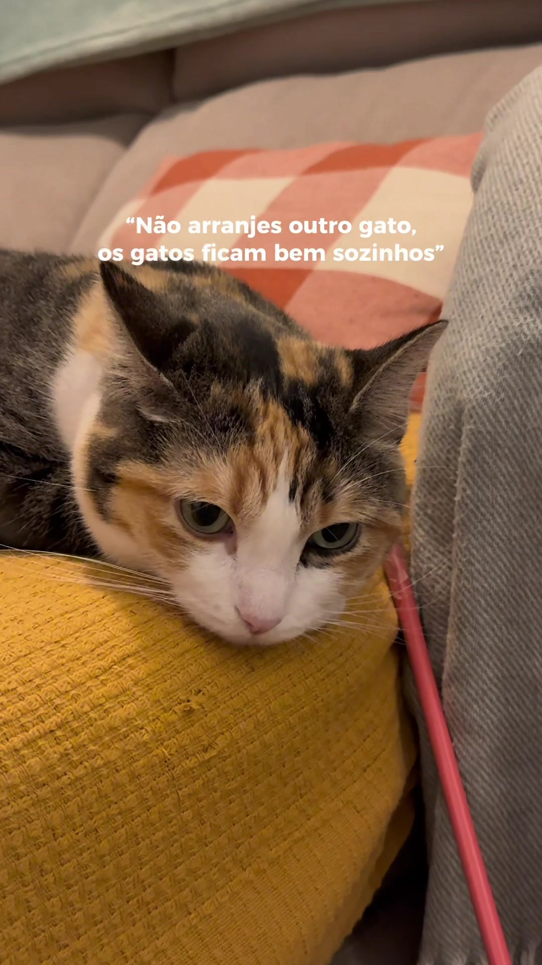 @Viajar mais com menos