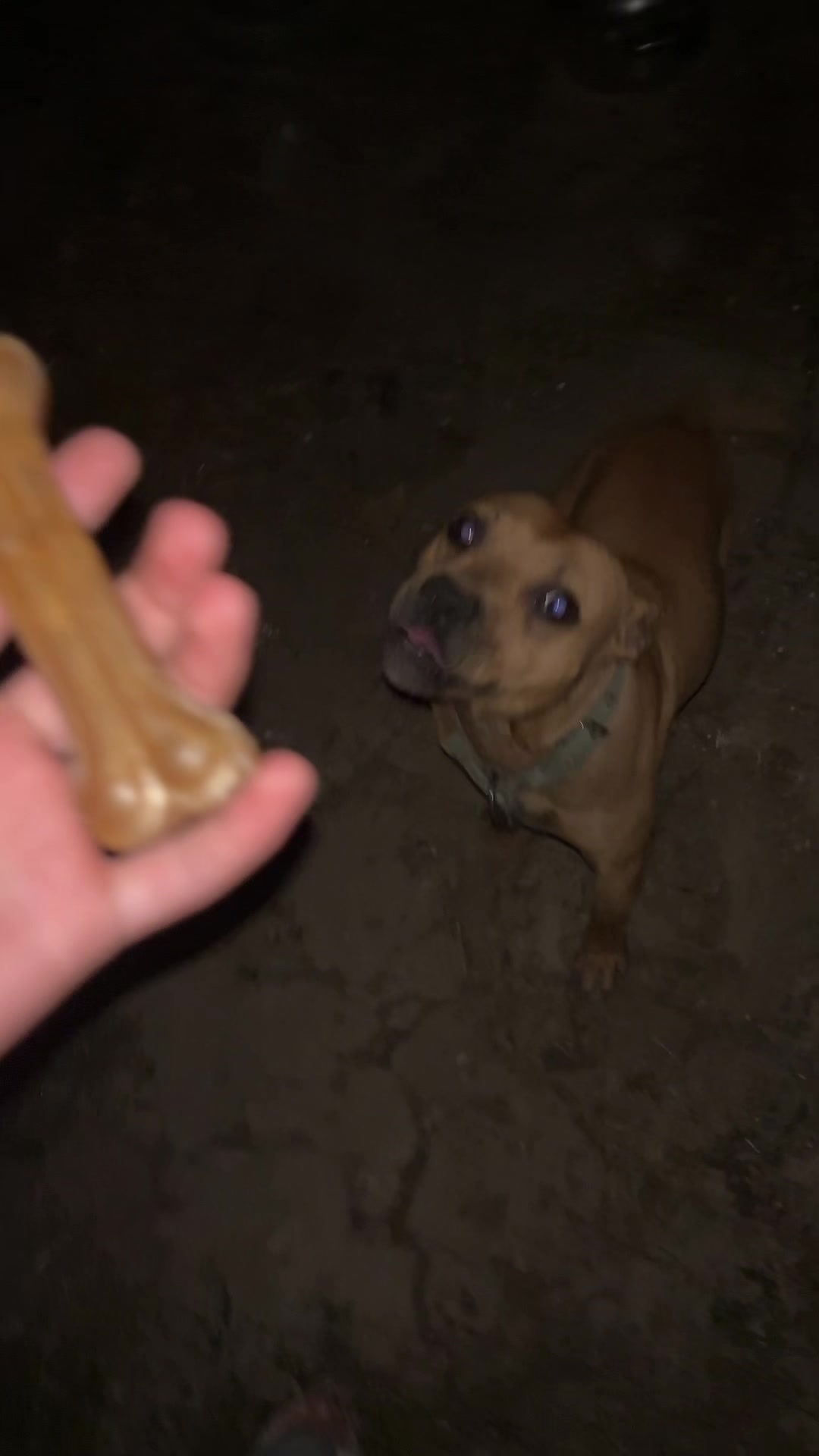 @Joker_pit8