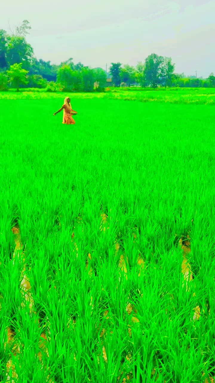 @Raushan yadav