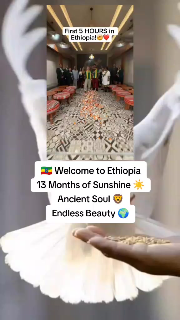 @Dr✨️Grand⚕️Health is Wealth🚑™