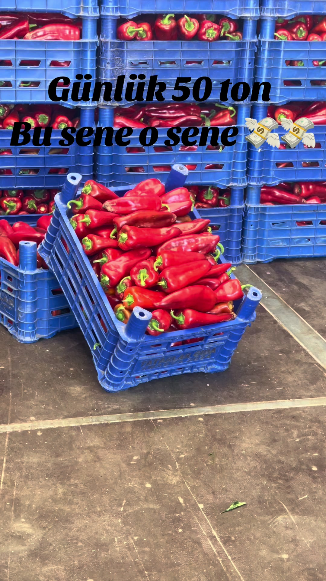 @Yusuf Ezgin