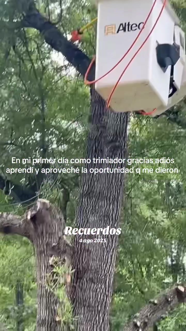@🃏Julio Hernández🃏