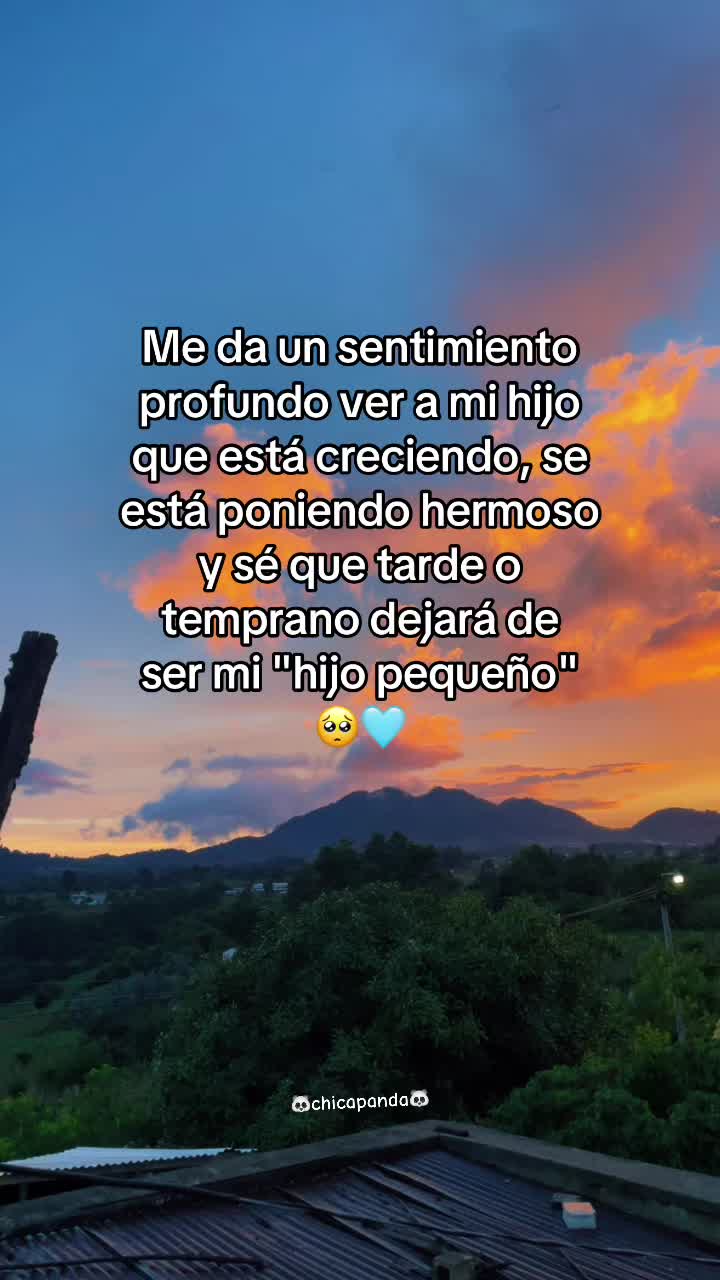 @chica06panda