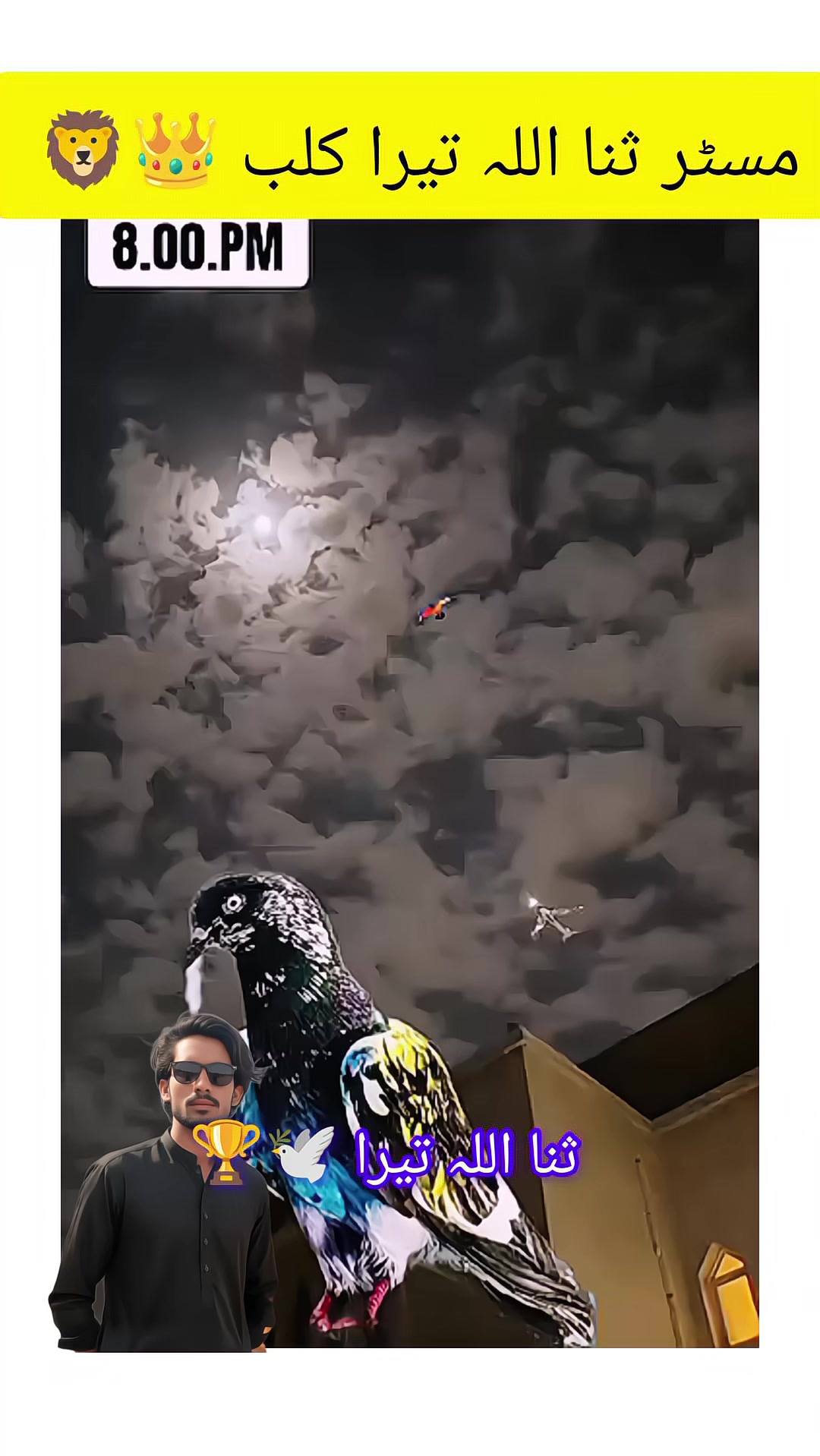@ᴹʀ Ｓꪋⁿꪋ𝐮ไไꪋ𝚑