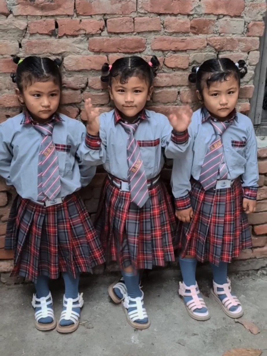@Dharma Raj Kutu