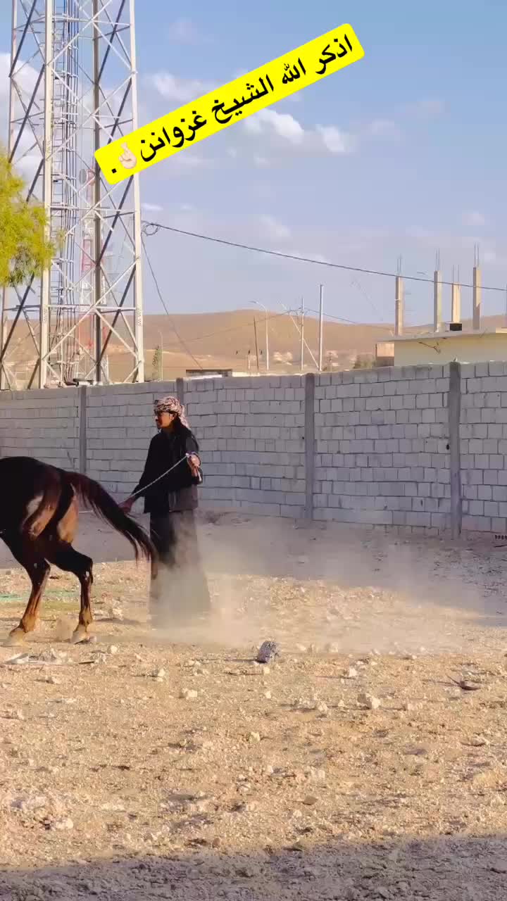 @خليل الشمري