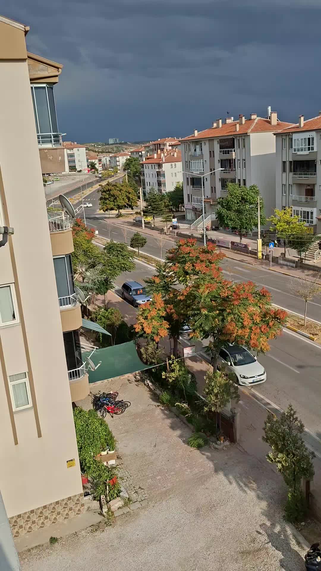 @Saban Bildirici