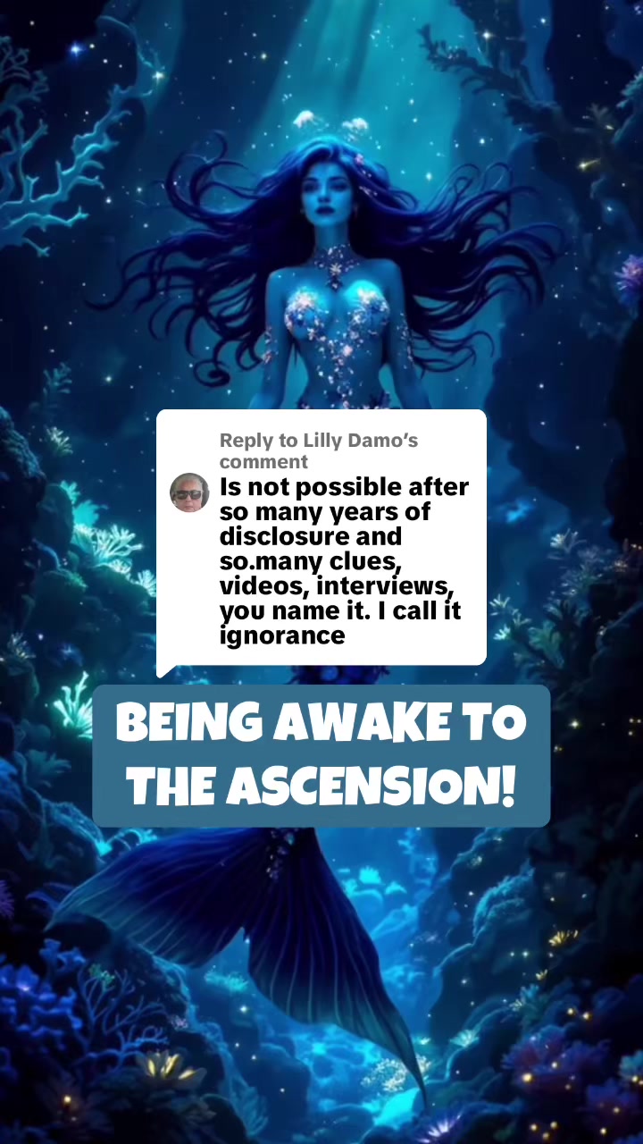 @bebeandthefirstwave2
