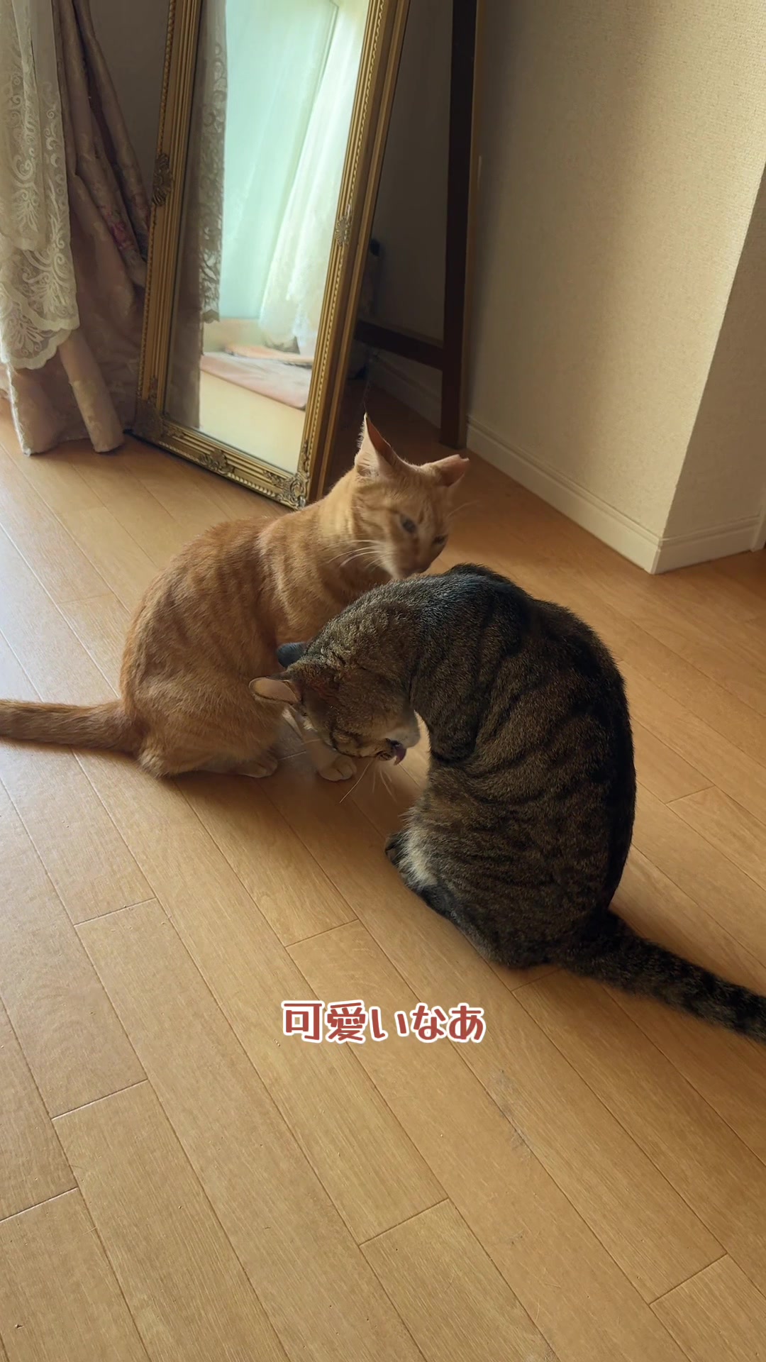 @さっことおちょ