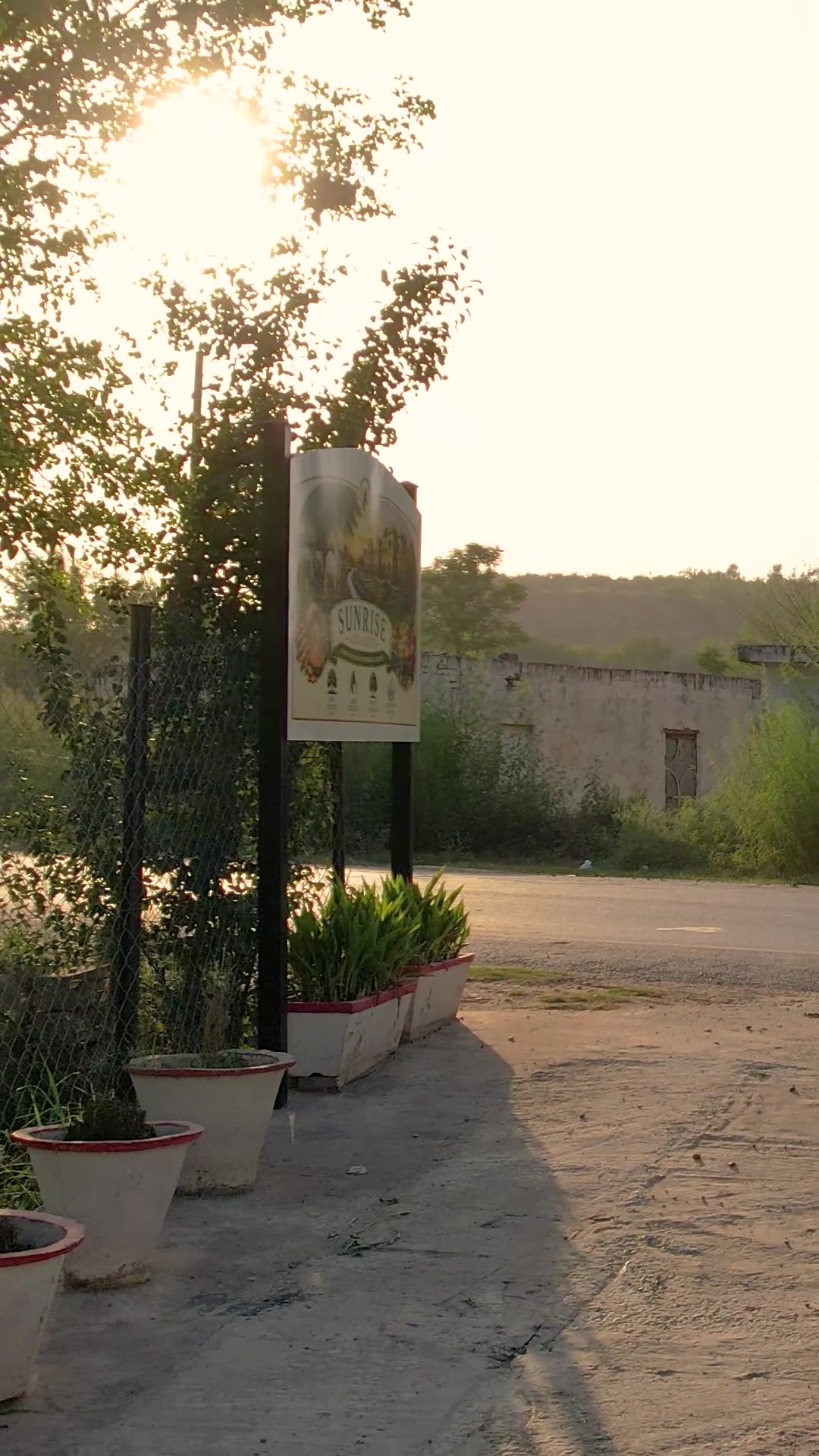 @SUNRISE STUD FARMS RAWALPINDI