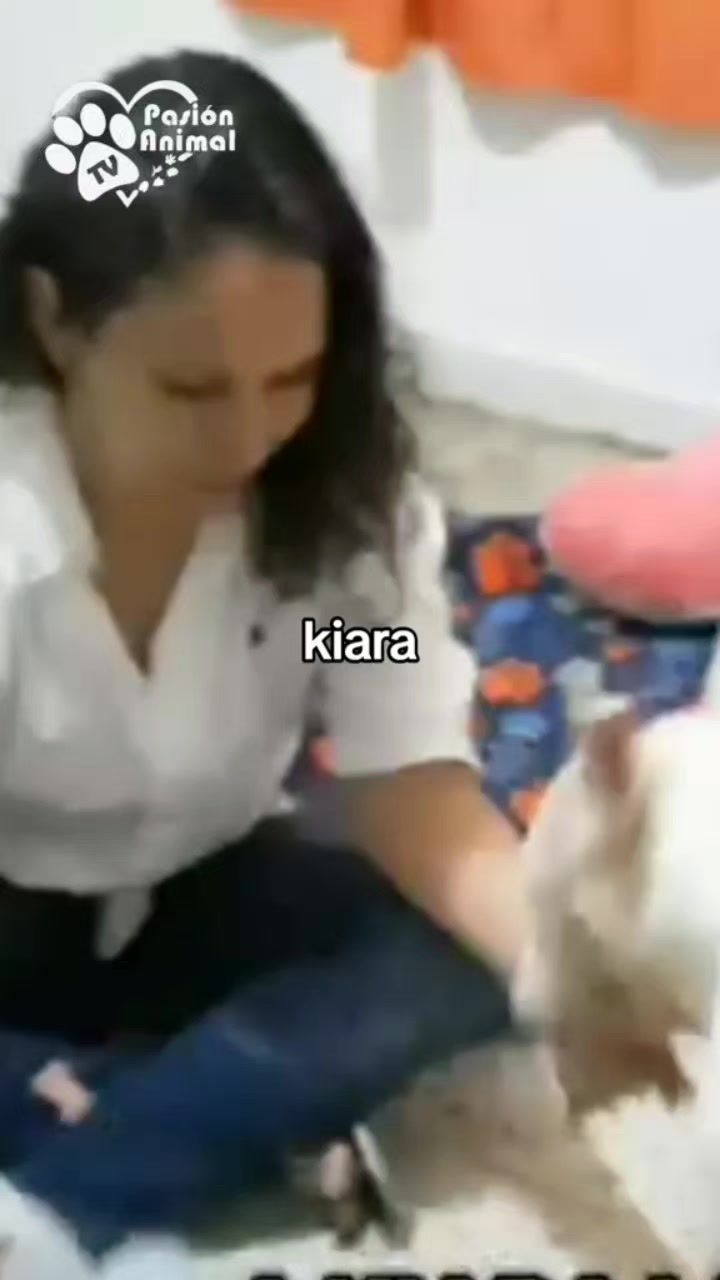 @Pasión Animal Tv