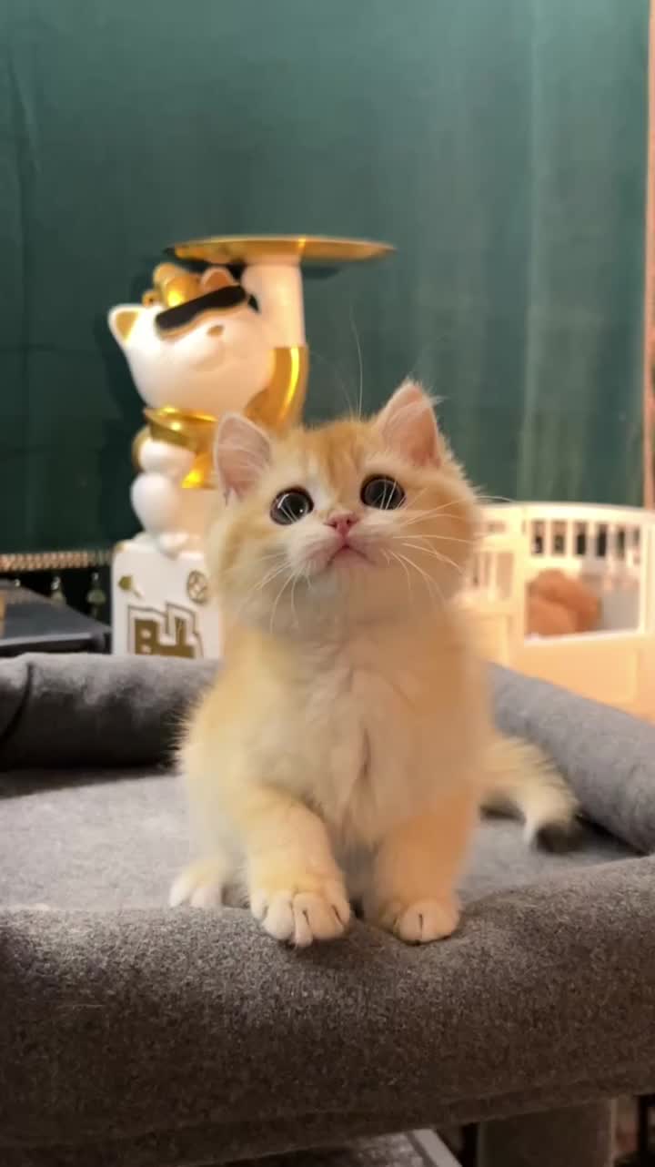 @マイ