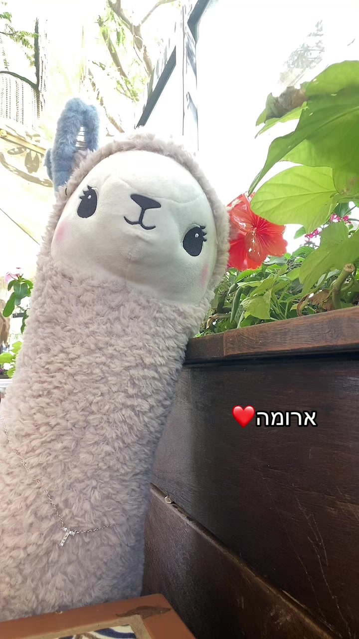 @שלומית הפיימוס 🦙🦙