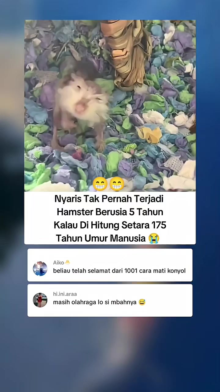 @Kiki