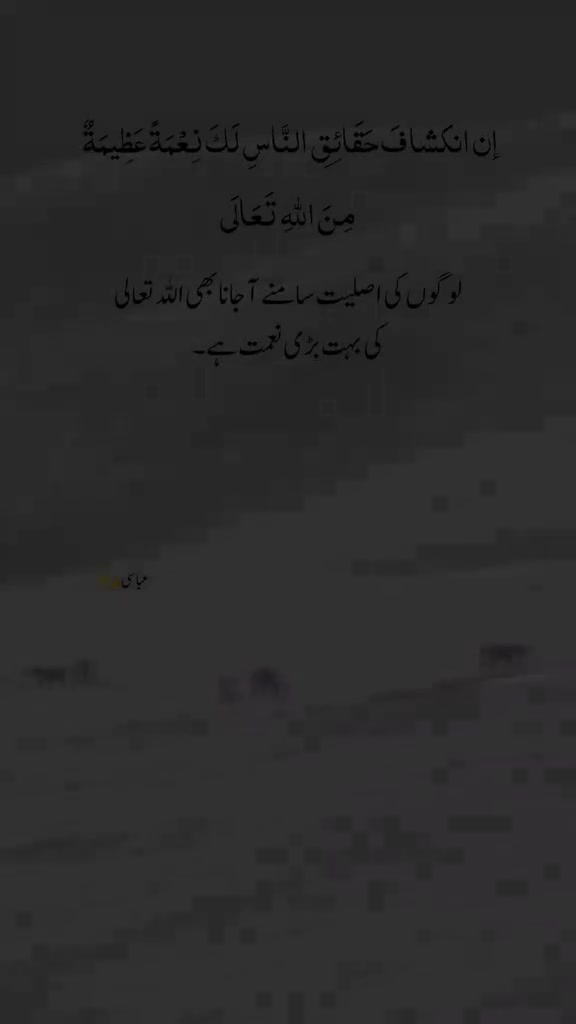 @Syed zarashah039