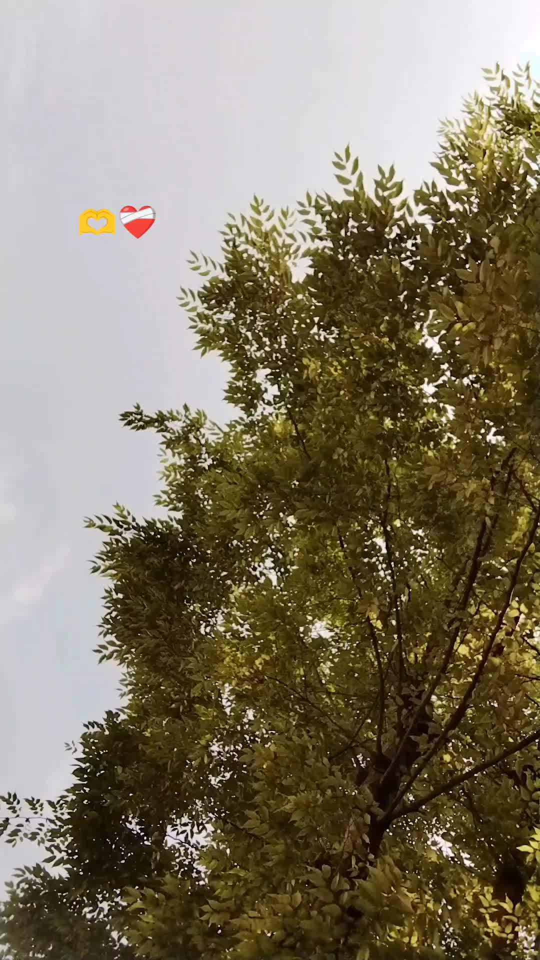 @sanu_😣🇯🇵