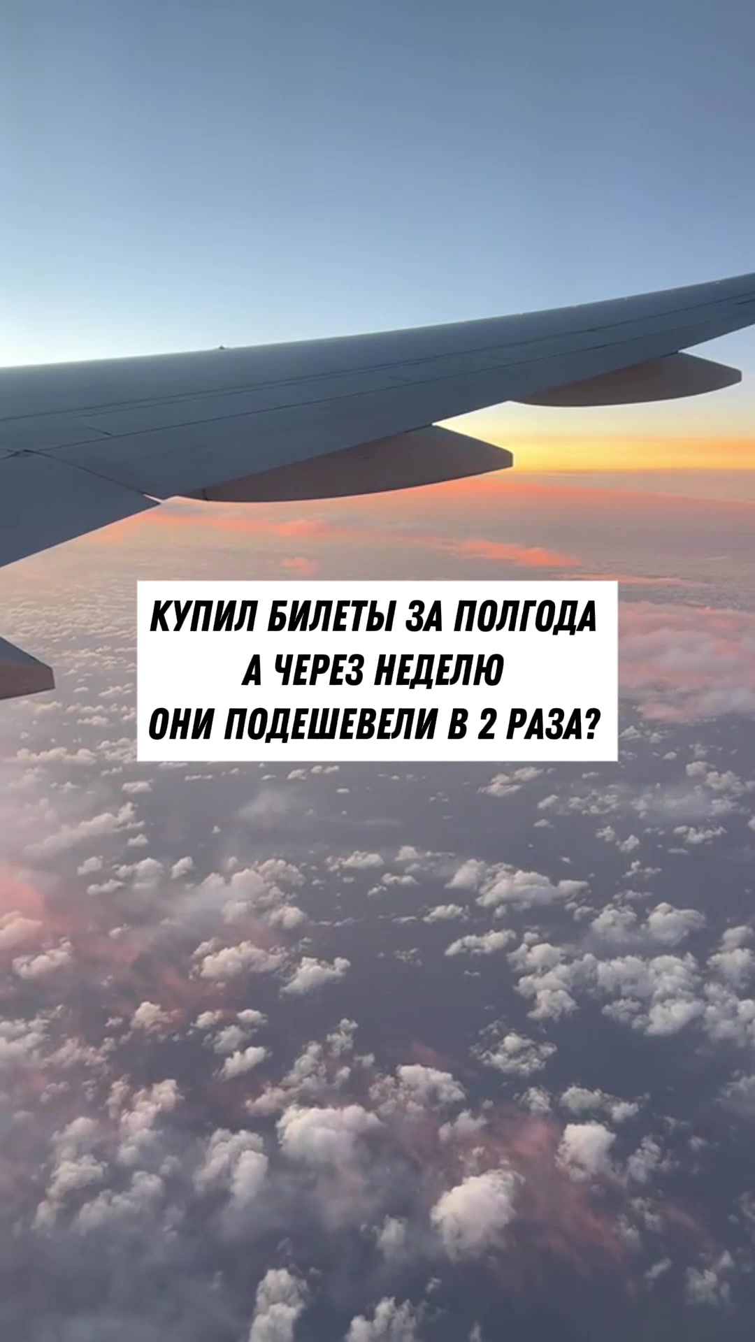 @Тревел Тёма