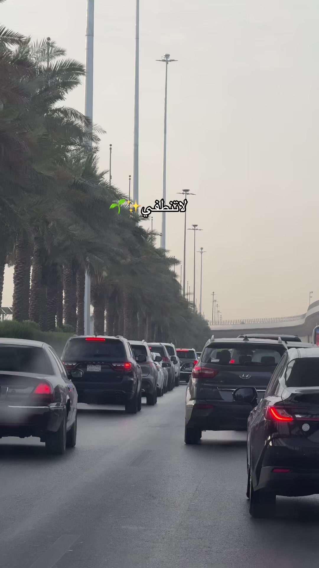 @ابتهال الشمري
