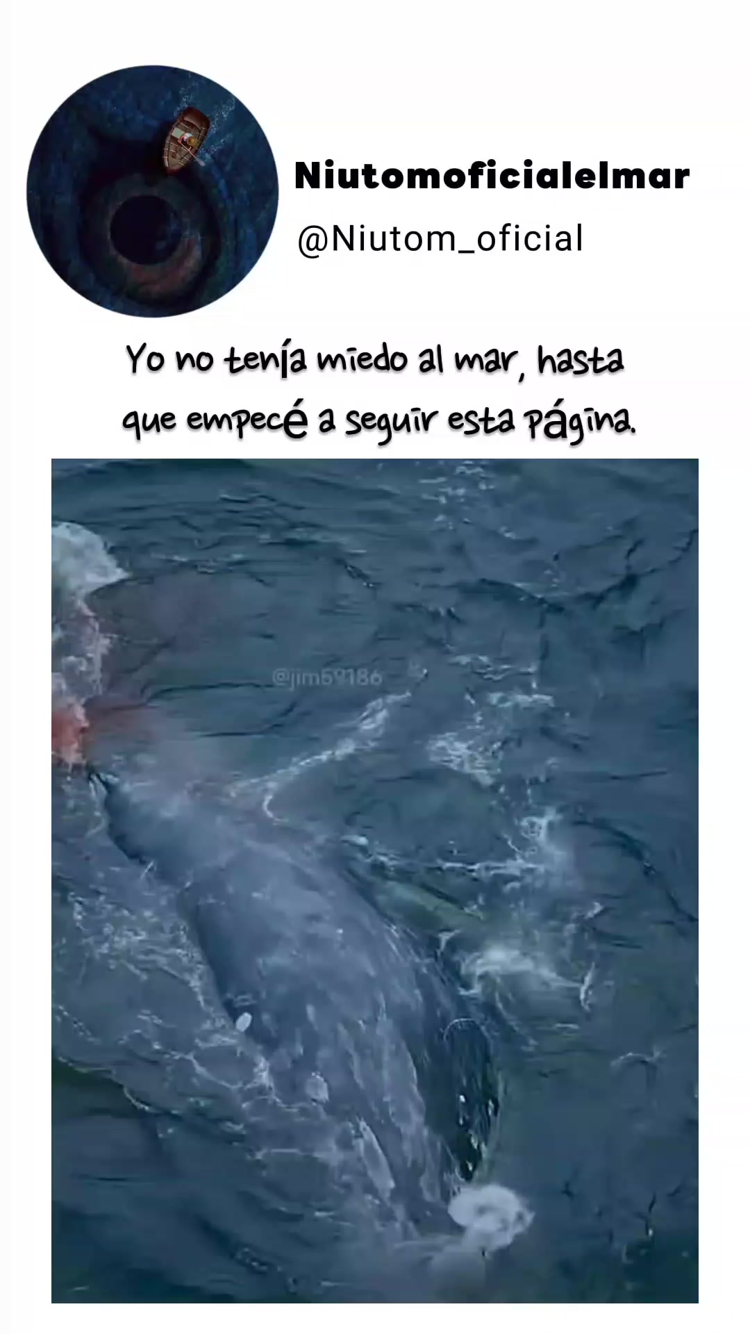 @🌊️niutom oficial el mar 🌊