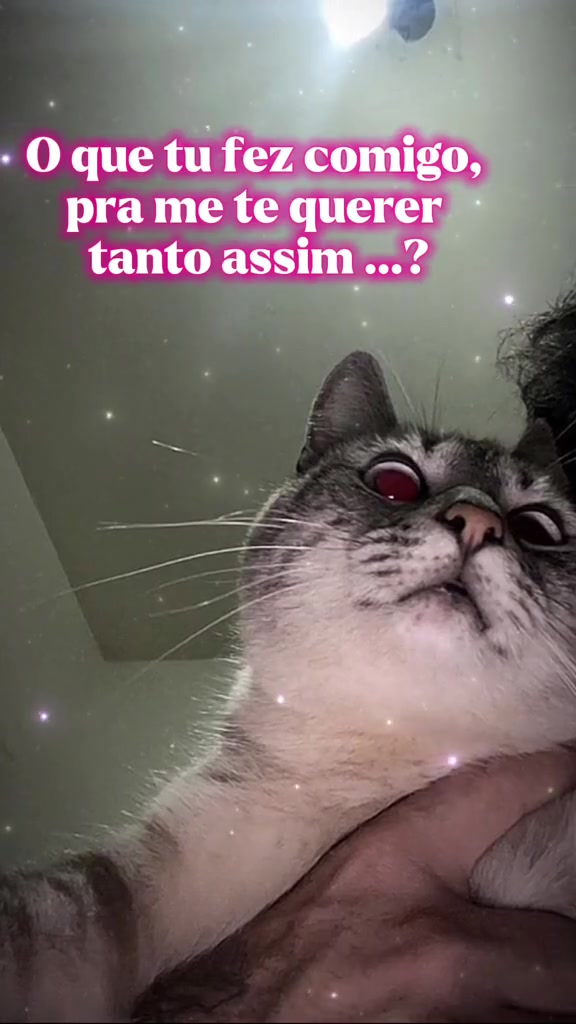 @loveRuy_oficial