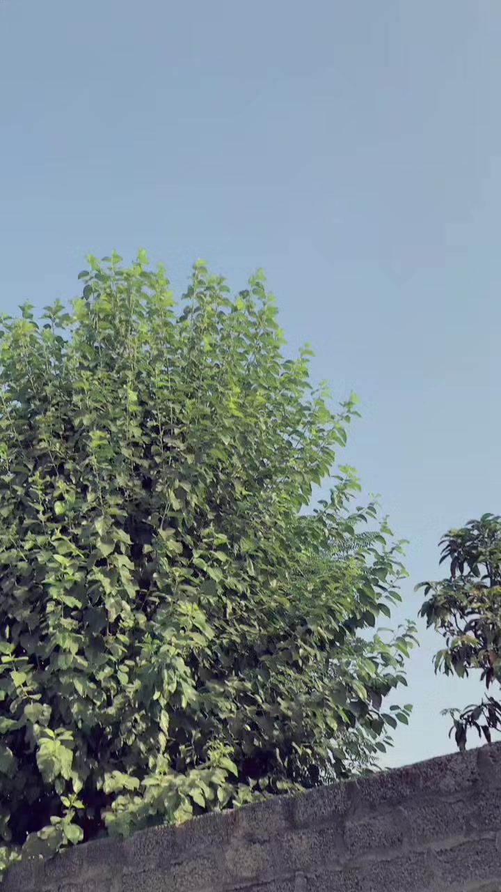 @Tor طوفان❤️❤️❤️❤️