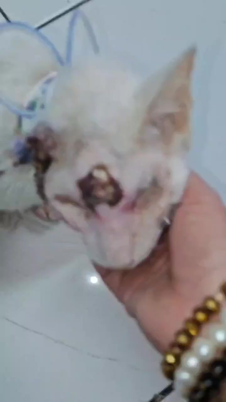 @mylharescues