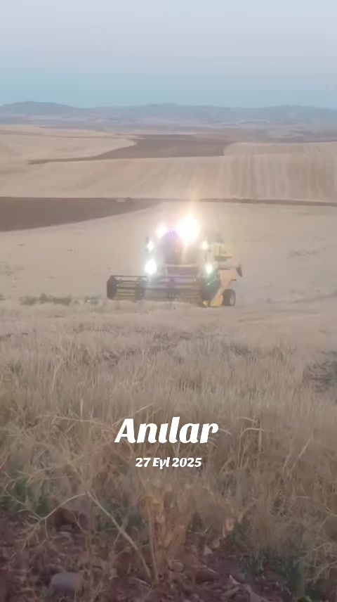 @yetiş &ccedil;i&ccedil;ek